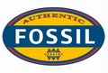 Fossil-Dames