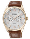 Citizen-AO9024-16A